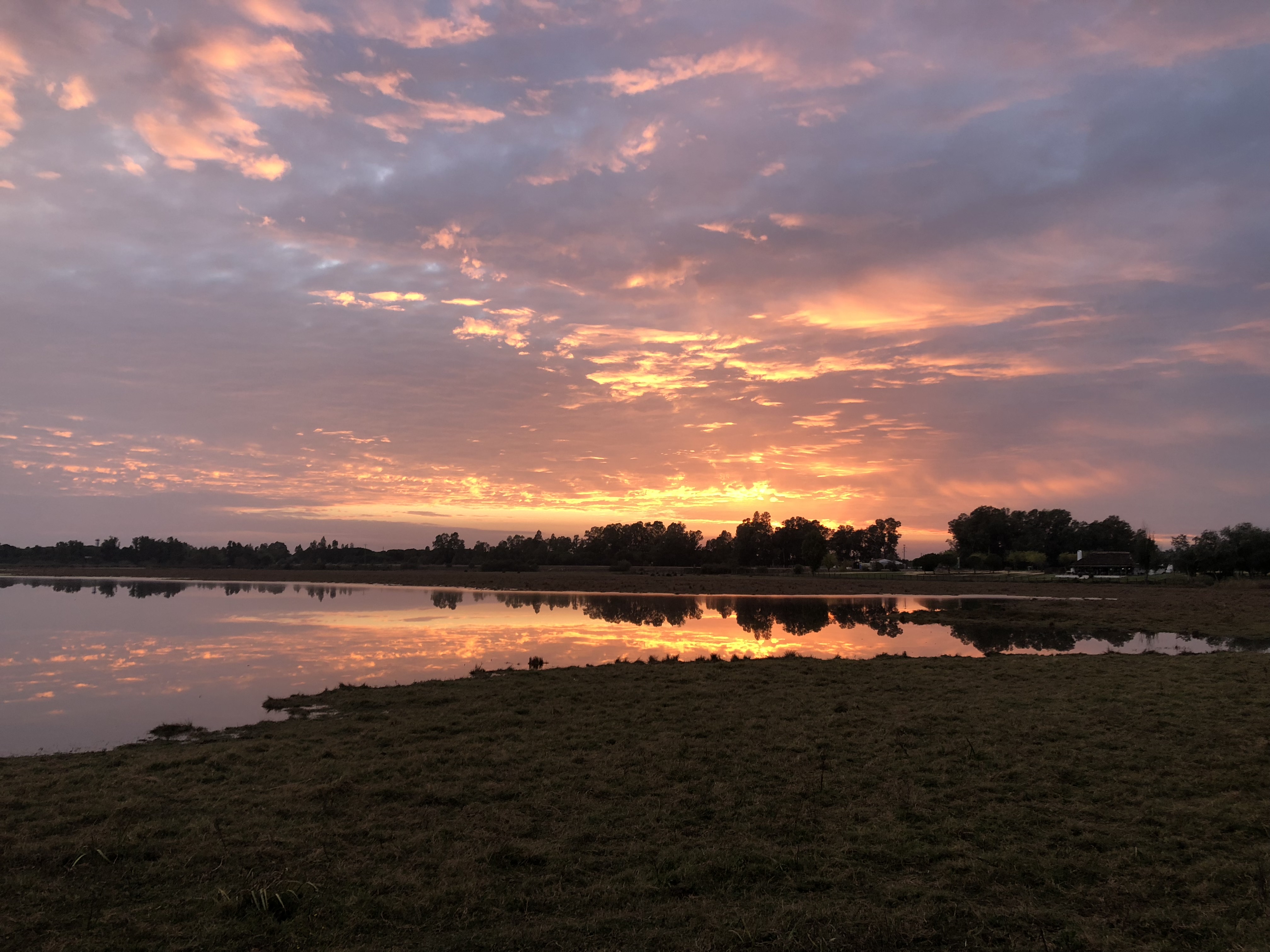 Parque Doñana